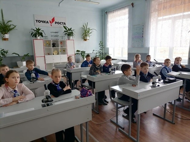 Кровеносная система и ее значение для организма человека.